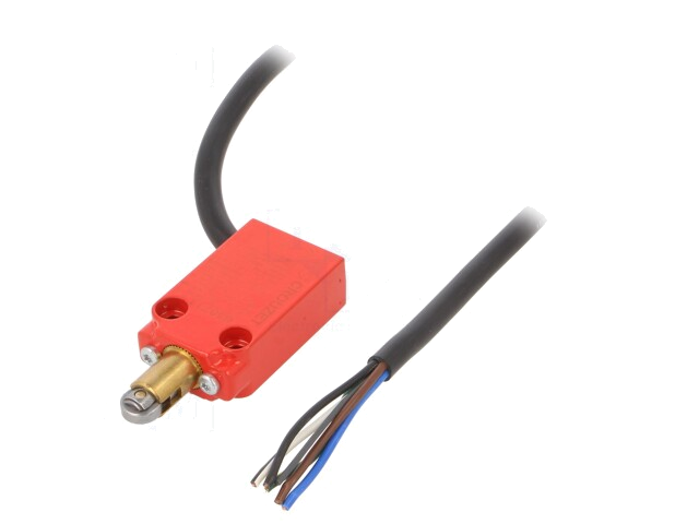 Eindschakelaar; metalen rol Ø10mm; NO + NC; 10A; max.250VAC; IP66