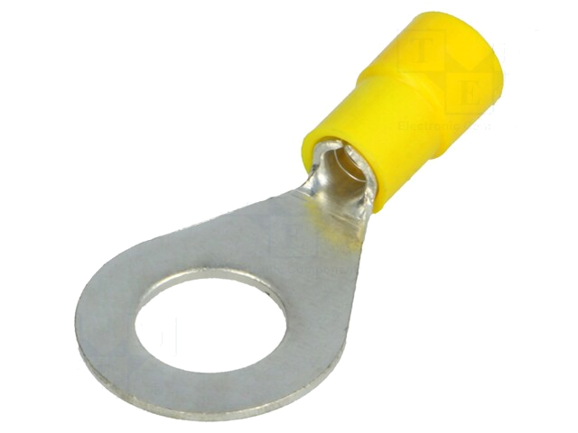 Uiteinde: oog; M10; Ø: 10,5mm; 4÷6mm2; klemmen; voor draad; vertind