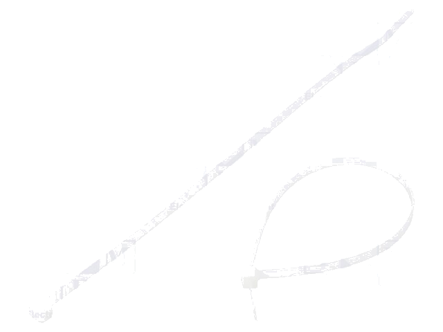 Kabelbinder; L: 203mm; W: 3,6mm; polyamide; 178N; natuurlijk
